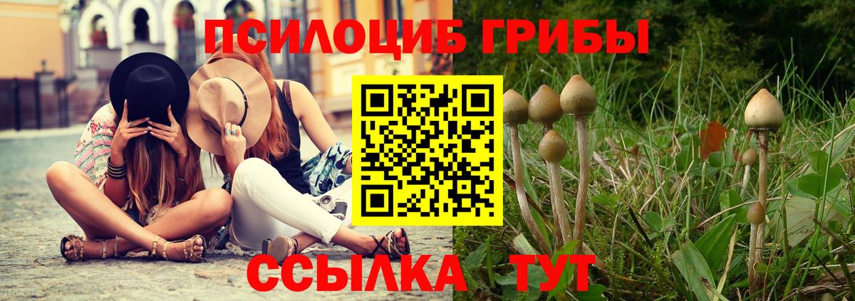 Галлюциногенные грибы Cubensis  что такое наркотик  Мичуринск  Вход с VPN 